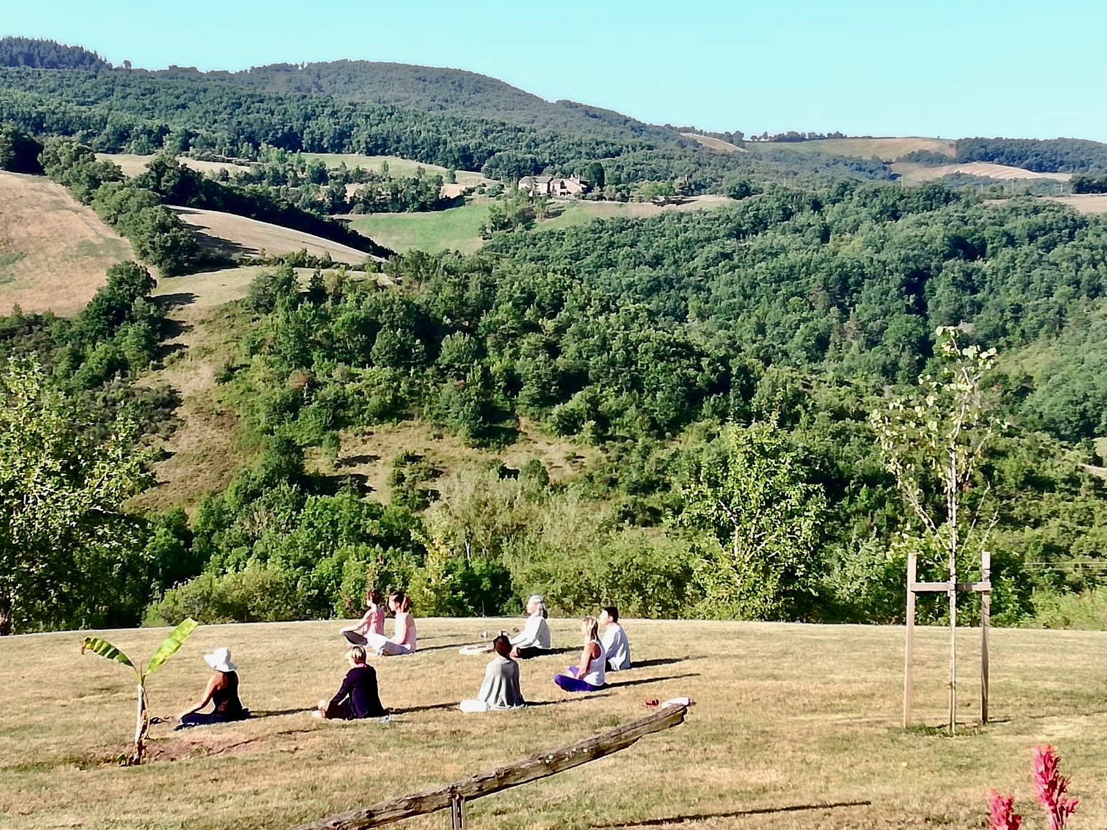 cb4a187a-6b78-494c-96d0-2987dc0e39a3