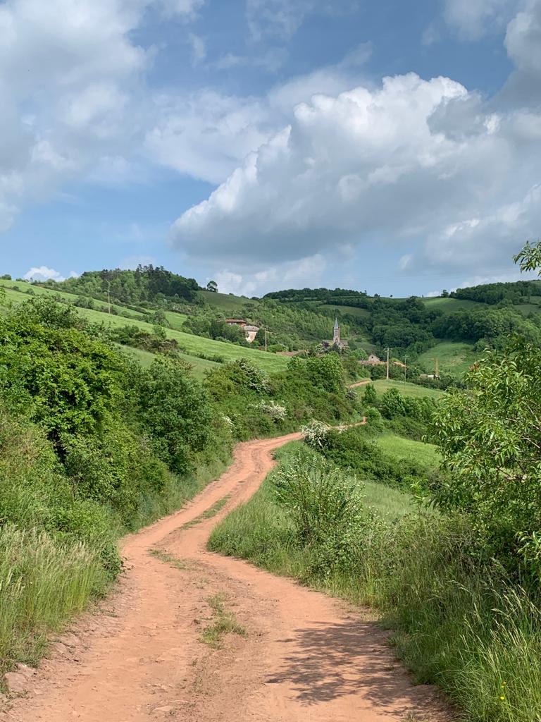 77c032e0-f619-4bf2-bd81-cb52c30c629c