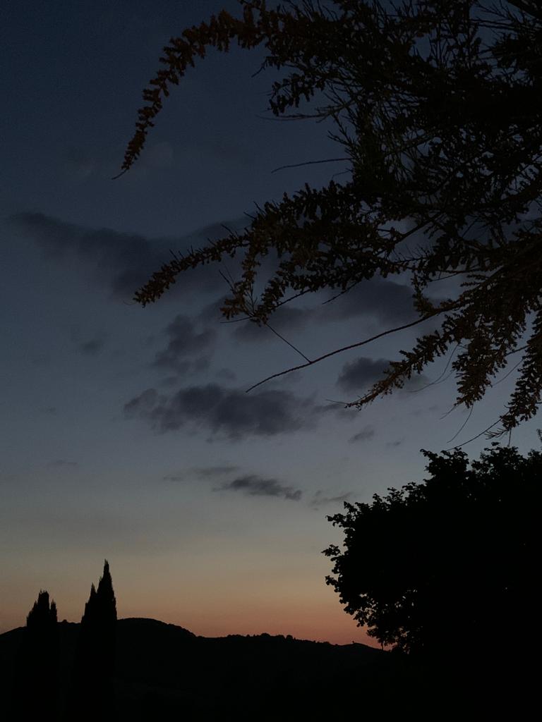 b27e68cd-5dcc-4b24-ad2d-a4007316f0dc