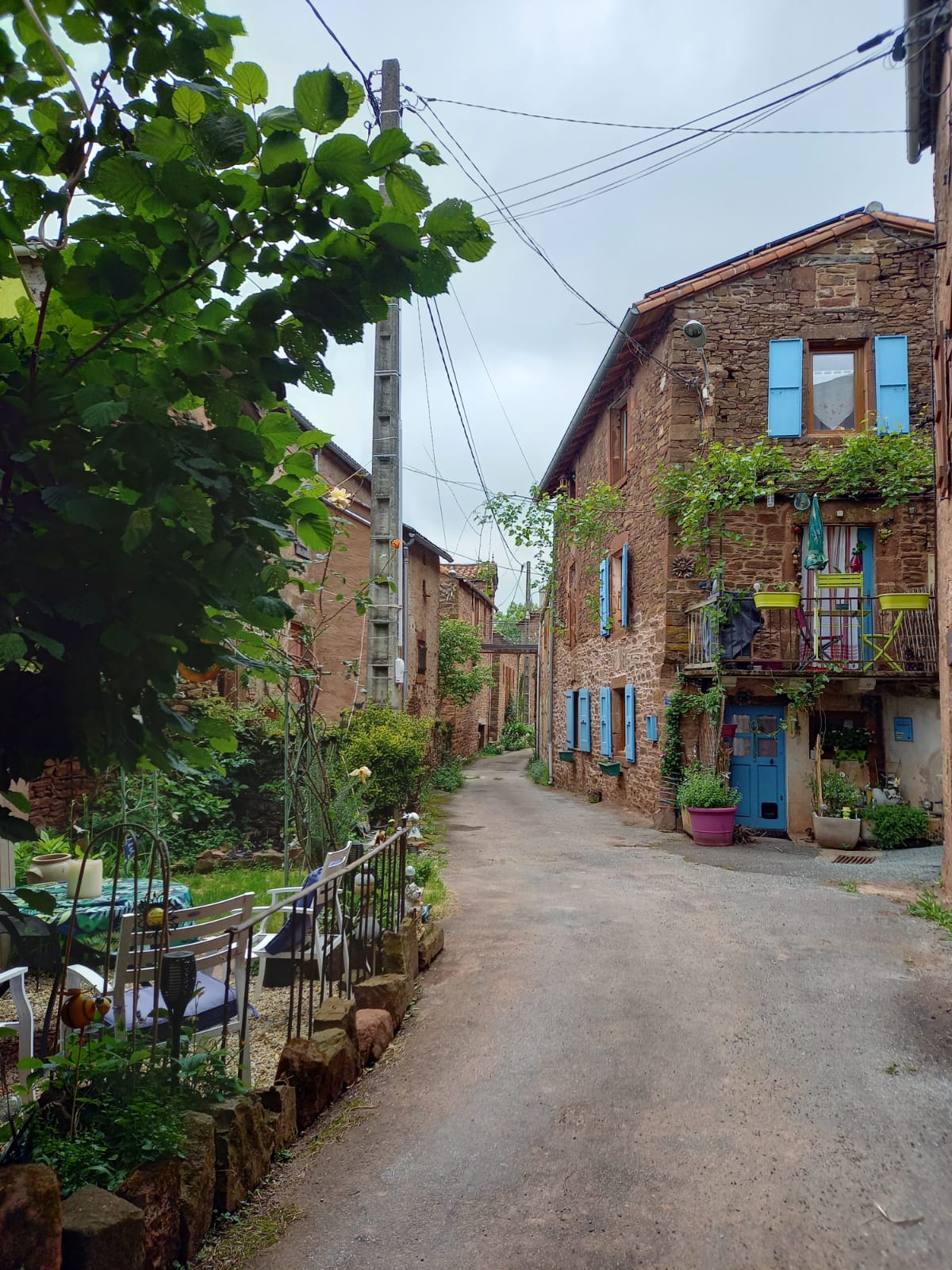 d91ed26e-0b2d-4a68-a254-08a3512f5ae4